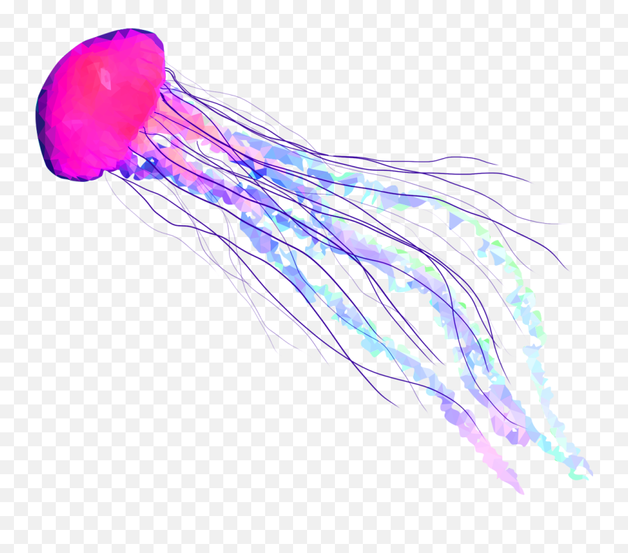 Jellyfish Fish Seas Underwater Sticker - Transparent Background Jellyfish Transparent Emoji,Jellyfish Emoji