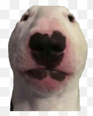 Angry laughing emoji 20 by Epicmeme - Thingiverse Walter Dog