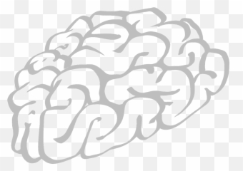 Brains Human Think Stem - Transparent Background Circuit Clipart Emoji