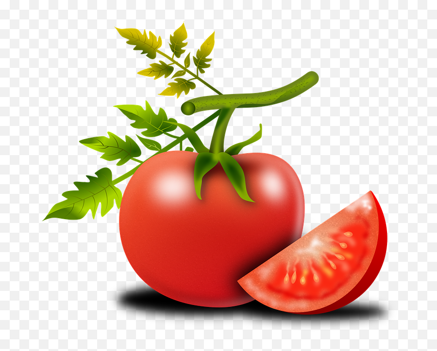 Tomatoes Free Png Transparent Tomato Png Clipart Free - Tomato Emoji,Tomato Emoji