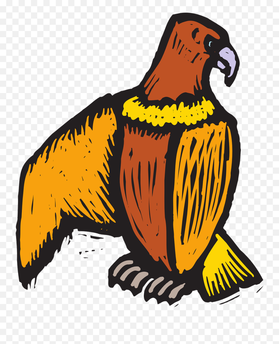 Eagle Bird Style Wings Off - Eagle Emoji,Virgin Islands Flag Emoji