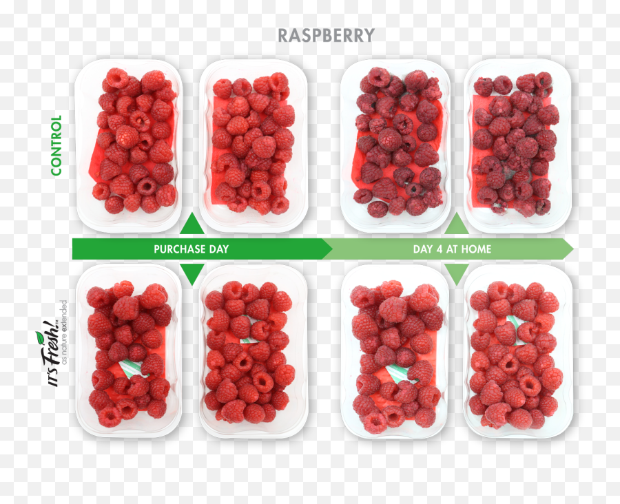 Harvest Clipart Fruit Picker Harvest - Postharvest Raspberry Emoji,Raspberries Emoji