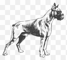 Dog Clipart Boxer - Sketch Vector Emoji