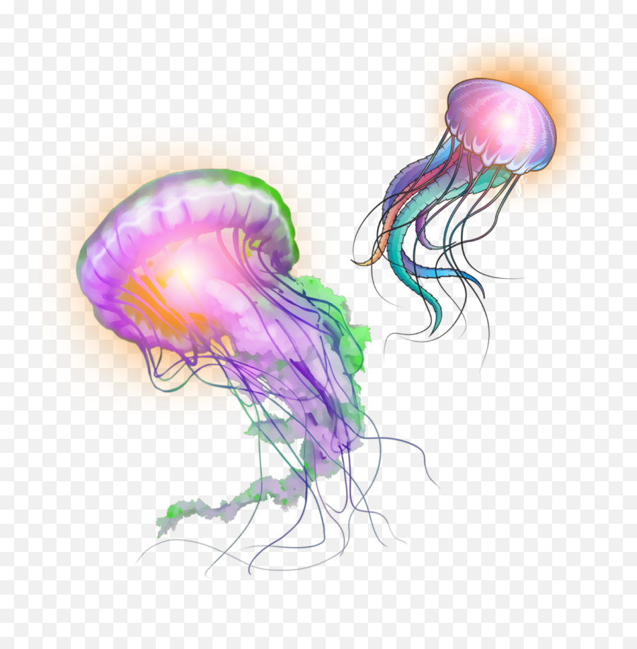 Jellyfish Jellyfishes Sea Sticker - Bioluminescence Emoji,Jellyfish Emoji
