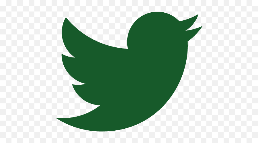 Dallas Green Official Twitter Logo - Logo Twitter Emoji,Nfl Emoji