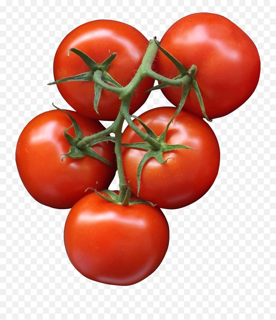 Free Transparent Tomato Download Free Clip Art Free Clip - Tomatoes Clip Art Emoji,Tomato Emoji