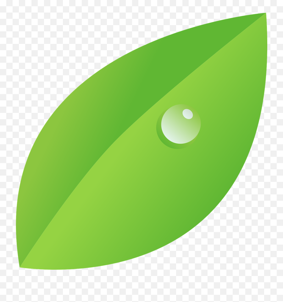 Dew Drop Leaf More Character Canidates - Dew Drops Clipart Emoji,Wet Drops Emoji