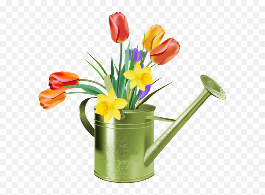 Plant Clipart Watering Can Plant - Tulip Spring Flowers Clip Art Emoji,Watering Can Emoji