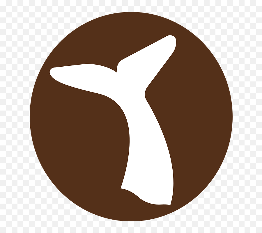 Whale Tail Watching - Whale Tails Clipart Emoji,Watch Emoji Movie Online Free