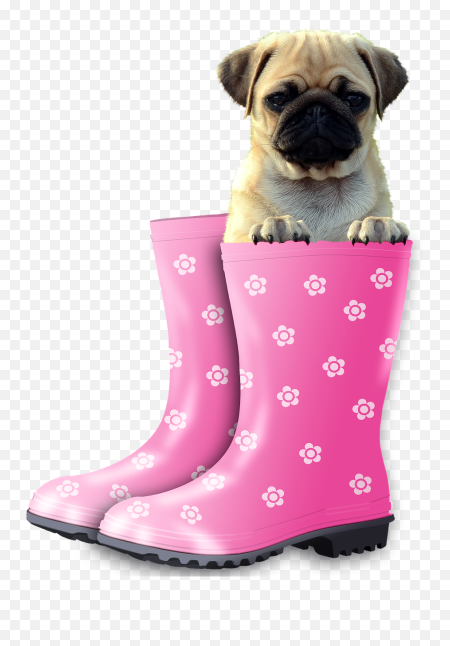 Funny Pug Dog Animal Pet - Happy Day Clipart Dogs Emoji,Snake Boot Emoji