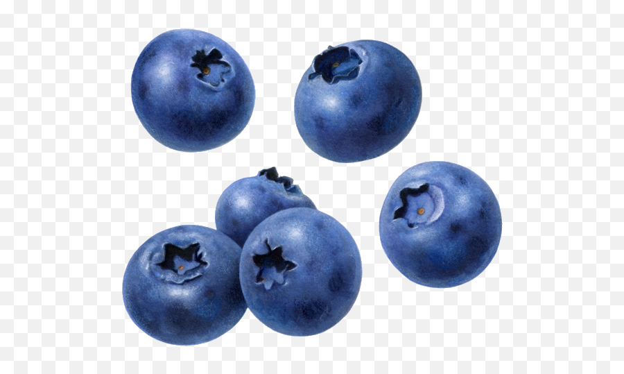 Blueberries Clipart Transparent Background Blueberries - Blueberries Png Emoji,Blueberry Emoji