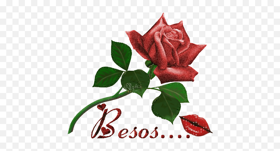 Rosas Para Mi Facebook Imagenes De Besos - Rosas Y Besos Transparent Background White Rose Clipart Emoji,Chuck Norris Emoji