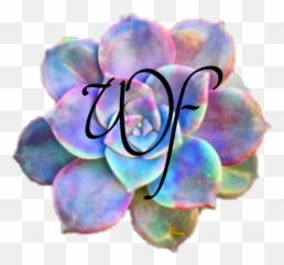 Freelancing u2014 Blog Feed Wonderforest - Rose Emoji