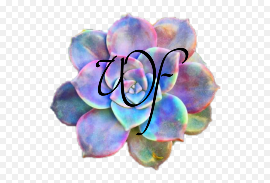 Freelancing U2014 Blog Feed U2014 Wonderforest - Rose Emoji,Grit Teeth Emoji