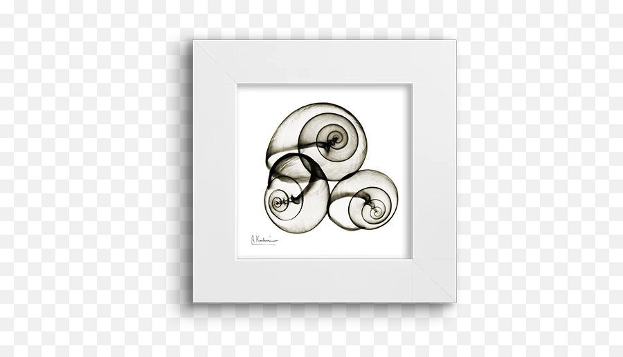 X - Circle Emoji,Snail Emoticon