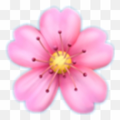 Emoji Girl Iphone Poland Tublr - Cherry Blossom Png Emoji,Poland Emoji