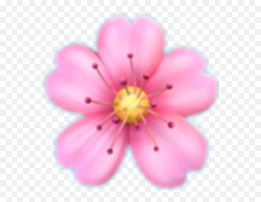 Emoji Girl Iphone Poland Tublr - Cherry Blossom Png Emoji,Poland Emoji