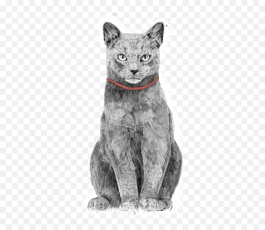 Cat Grey Cats Catdrawing Drawing - Xmas Cat Emoji,Grey Cat Emoji