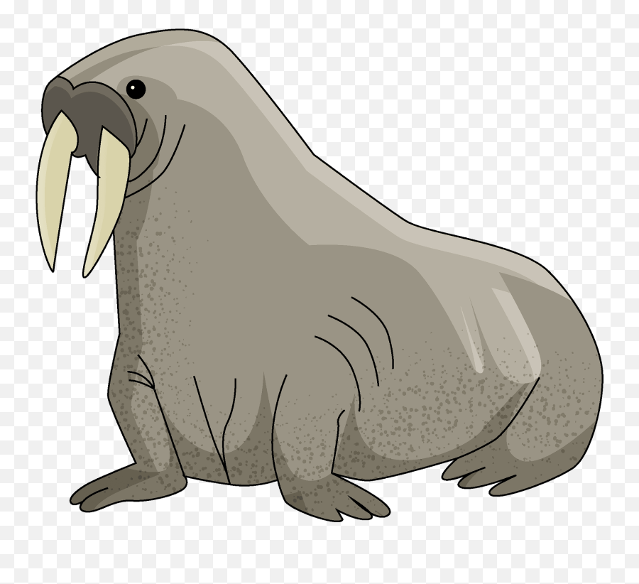 Walrus Clipart - Walrus Emoji,Walrus Emoji