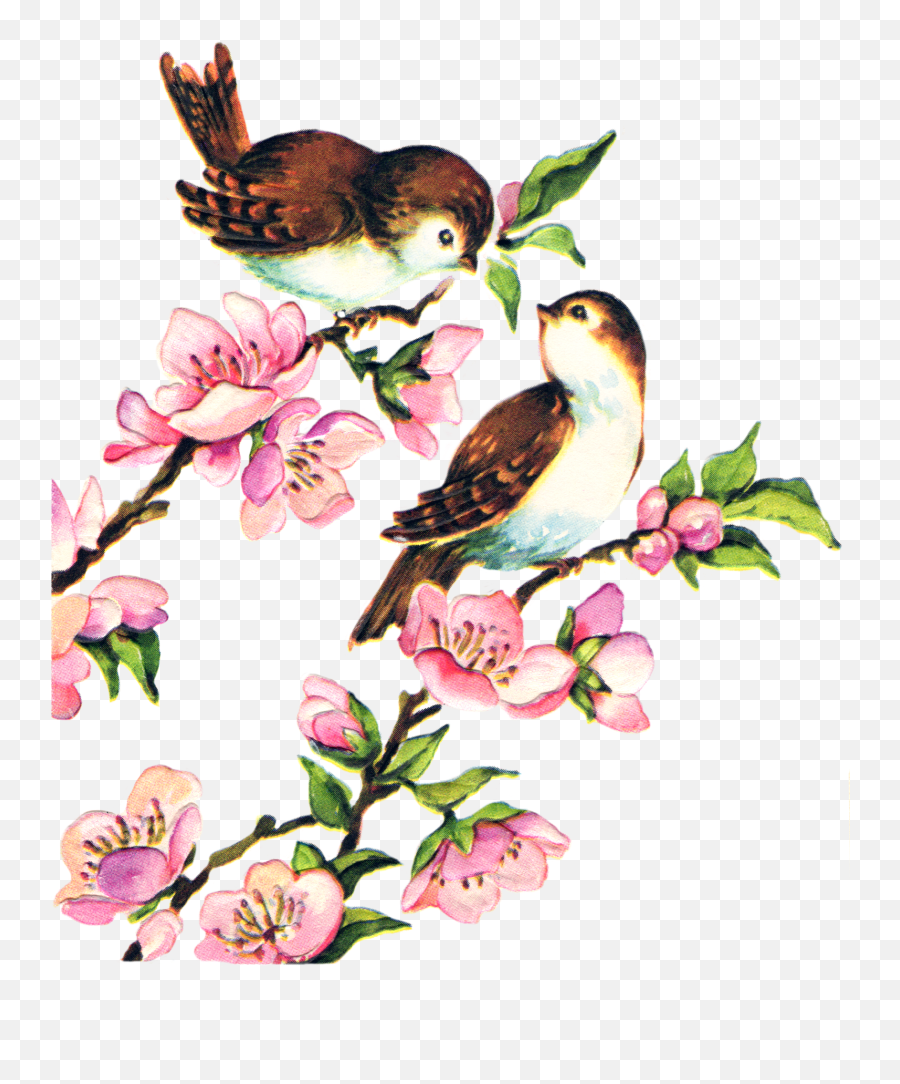 Hummingbird Clipart Vintage - Vintage Bird Emoji,Birb Emoji