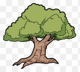 Trees Clip Art Coloring Pages Images - Old Oak Clipart Emoji