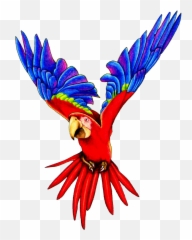 Macaw Clip Art - Library Flying Parrot Png Emoji
