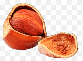 Trending - Chestnut Emoji,Hazelnut Emoji