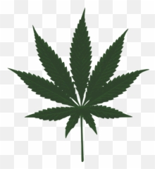 Cannabis Leaf Vector Image - Marijuana Emoji