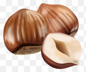 Hazelnut Nuts Sticker - Transparent Background Hazelnut Png Emoji,Hazelnut Emoji