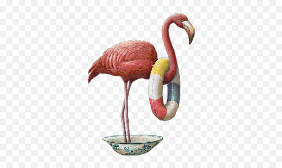 And Trending Flamenca Stickers - Greater Flamingo Emoji,Flamenca Emoji