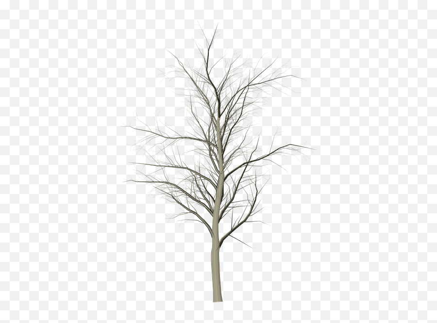 Free Dead Tree Tree Illustrations - Snow Emoji,Snake Boot Emoji