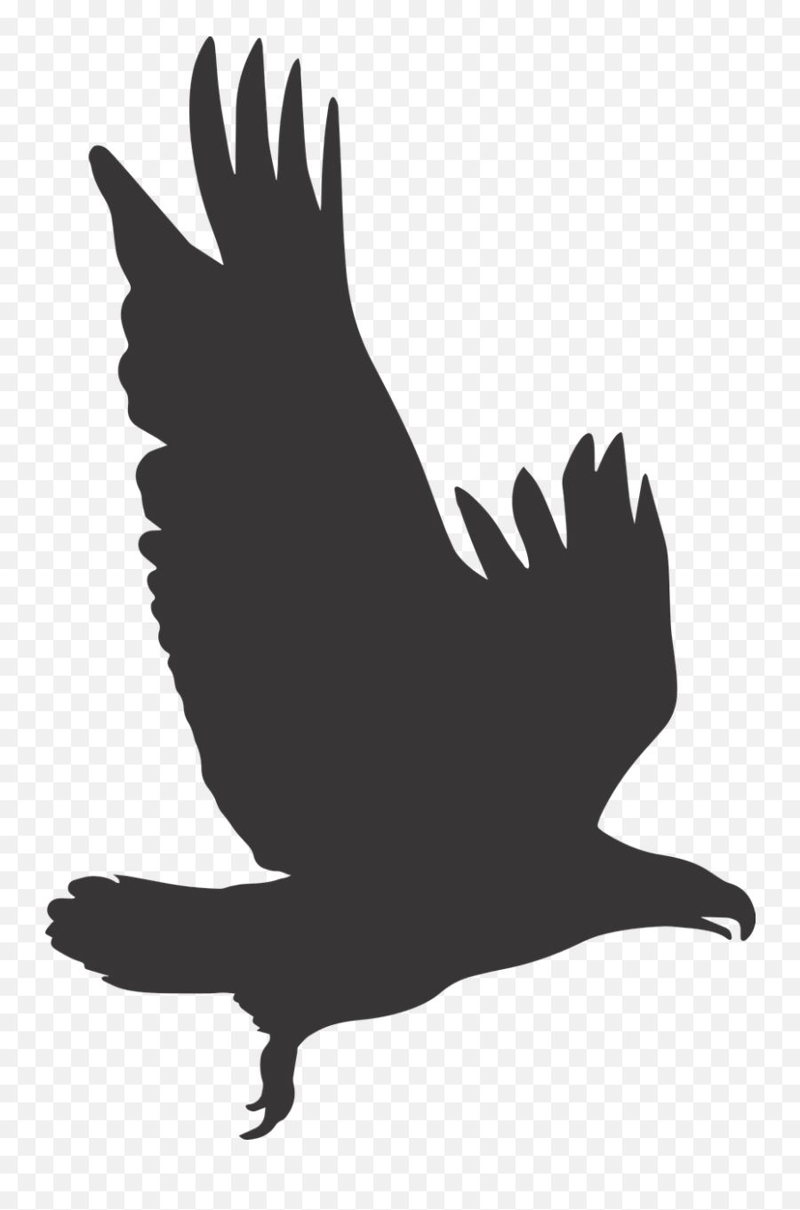 Eagle Eagle Silhouette Silhouette Wings - Silhouette Eagle Transparent Emoji,Emoji Hand And Chicken
