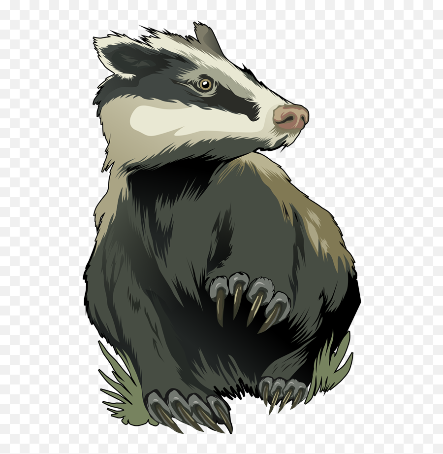 Grizzly Badger Transparent Png Clipart Free Download - Badger Png Clipart Emoji,Badger Emoji