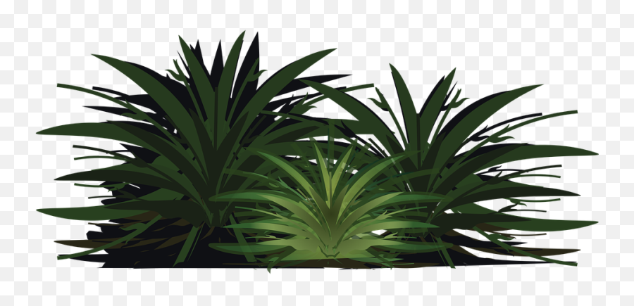 Palm Tree Wood Paper - Palm Bush Png Emoji,Palm Tree Emojis