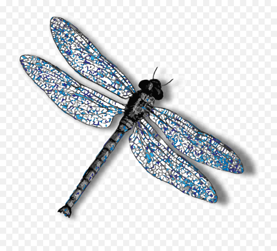 Transparent Background Clip Art Dragonfly - Transparent Transparent Background Dragonfly Png Emoji,Dragonfly Emoji