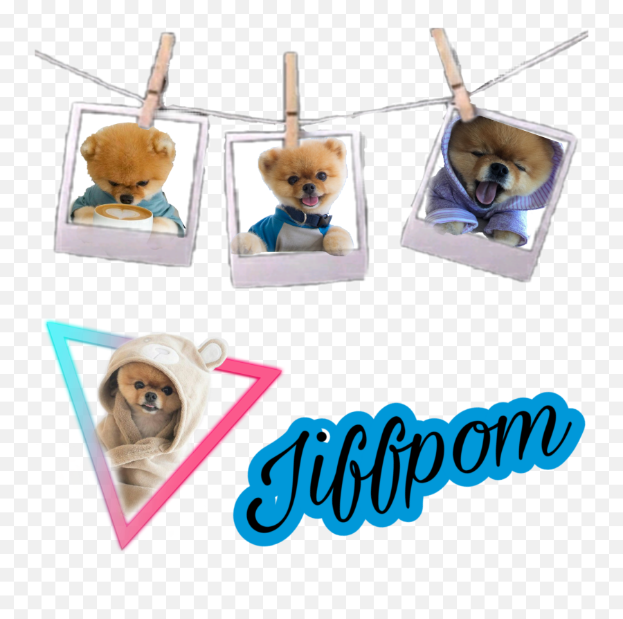 Popular And Trending Jiffpom Stickers On Picsart - Brown Bear Emoji,Jiffpom Emoji