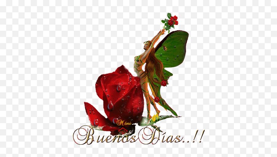 Top Es Para Twitter Stickers For Android U0026 Ios Gfycat - Buenos Dias Rosas Gif Emoji,Twitter Rose Emoji