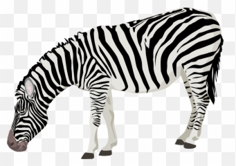 Download Free Zebra Photos Icon Favicon - Zebra Png Emoji,Zebra Emoji