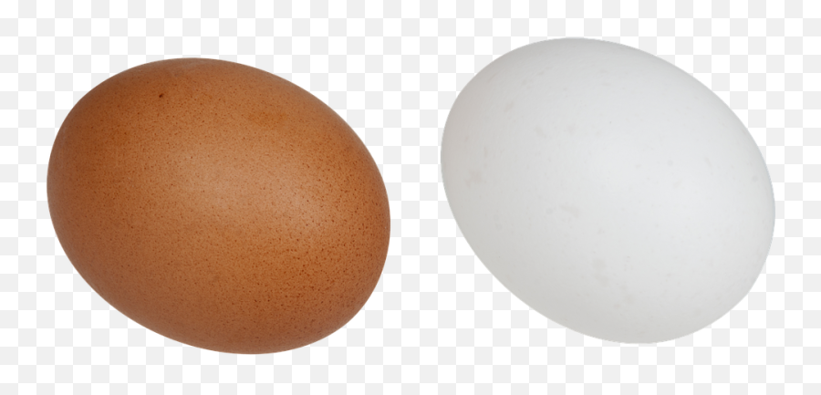 Free Chicken Eggs Chicken - Brown Egg Emoji,Hedgehog Emoticon