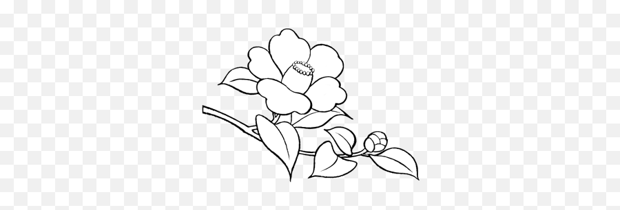 Flower Png Doodle Pack - White Flower Doodle Png Emoji,Emoji Flowers Copy And Paste