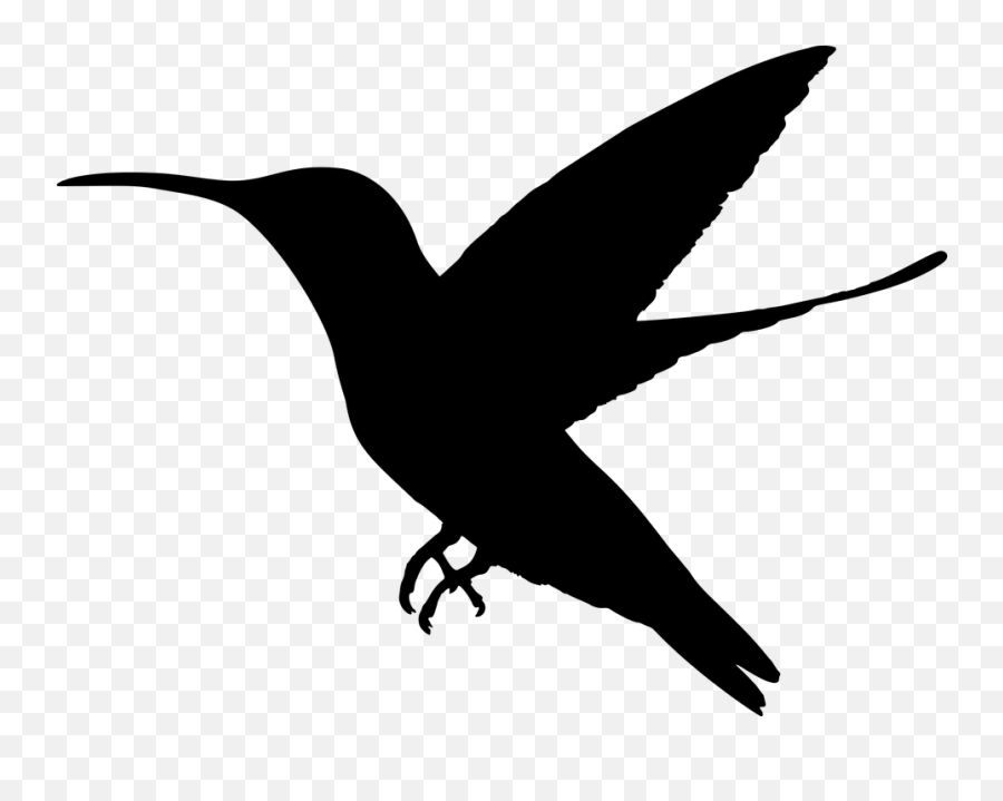 Free Hummingbird Bird Illustrations - Hummingbird Silhouette Png Emoji,Bird Emoticon
