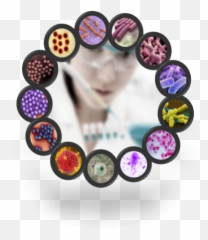 New Savvygen Lyophilised Rt - Pcr Assays For Gastroenteritis Bead Emoji,Proud Emoticon
