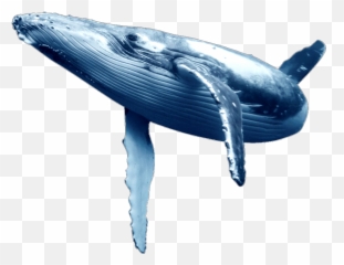 Largest Collection Of Free - Transparent Blue Whale Clipart Emoji