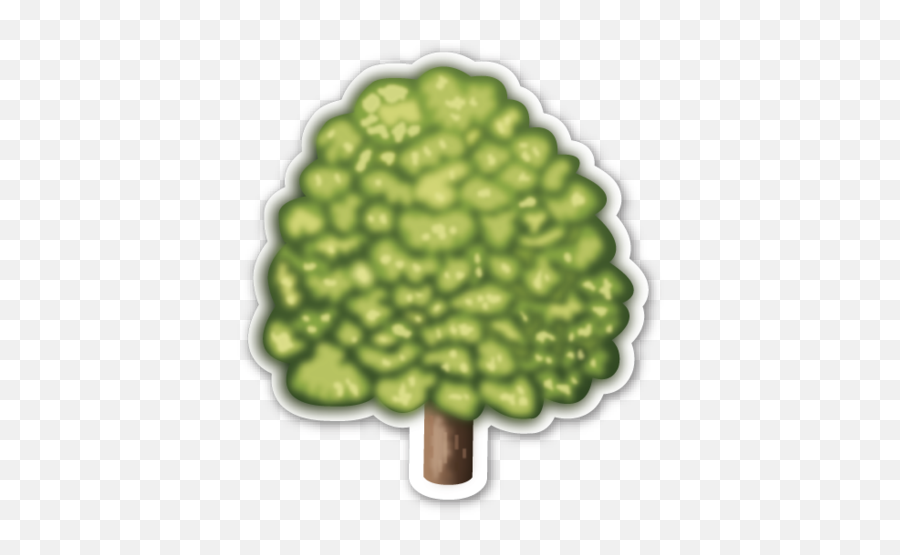 Deciduous Tree - Emoticones De Whatsapp Arboles Emoji,Clover Emoji
