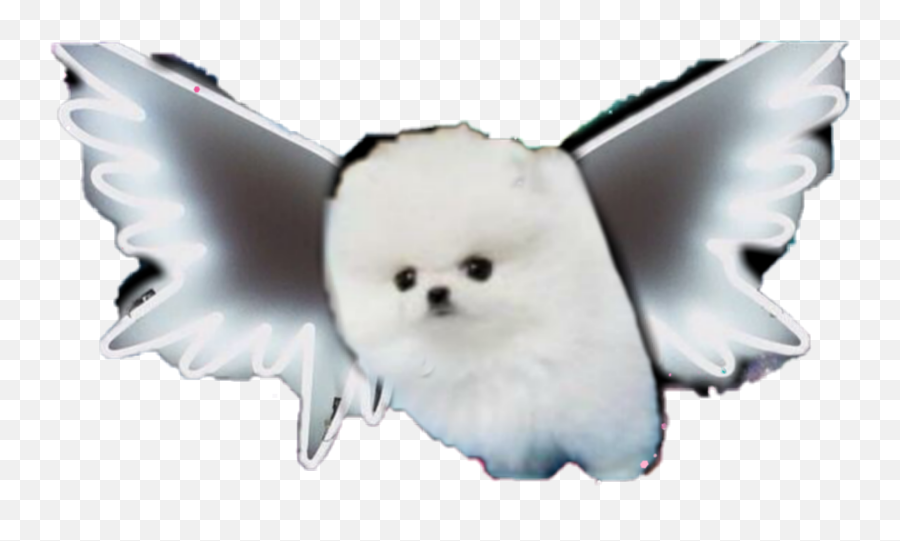 Pomeranian Puppy Wings Sticker - Fictional Character Emoji,Pomeranian Emoji