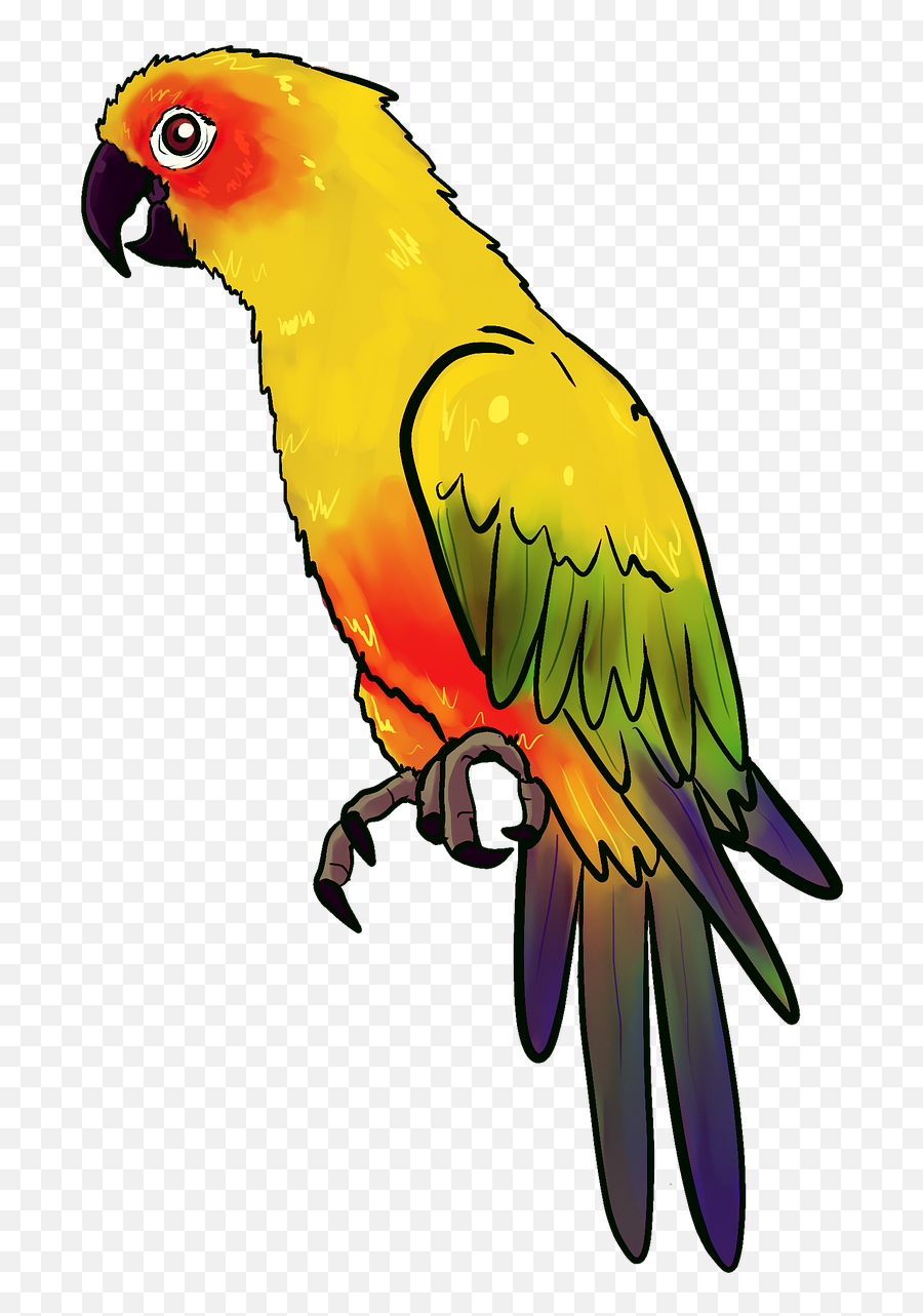 Bird Animal Birds Nature Feather - Parrot Illustration Png Emoji,Bouquet Of Flowers Emoji