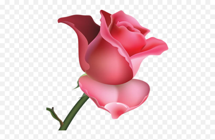Flowers And Roses Images Wallpaper Gif - Mobile Cover Vivo Y21l Emoji,Rose Emojis
