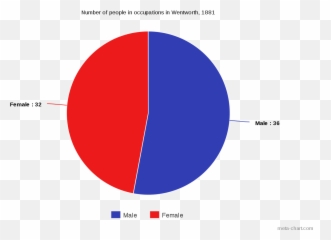 Male Female Pie Chart - Emoji