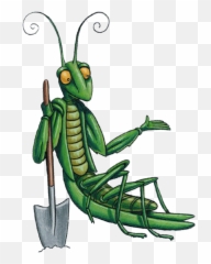Grasshopper Clipart Clear Grasshopper Clear Transparent - Junior Master Gardener Logos Emoji,Crickets Emoji