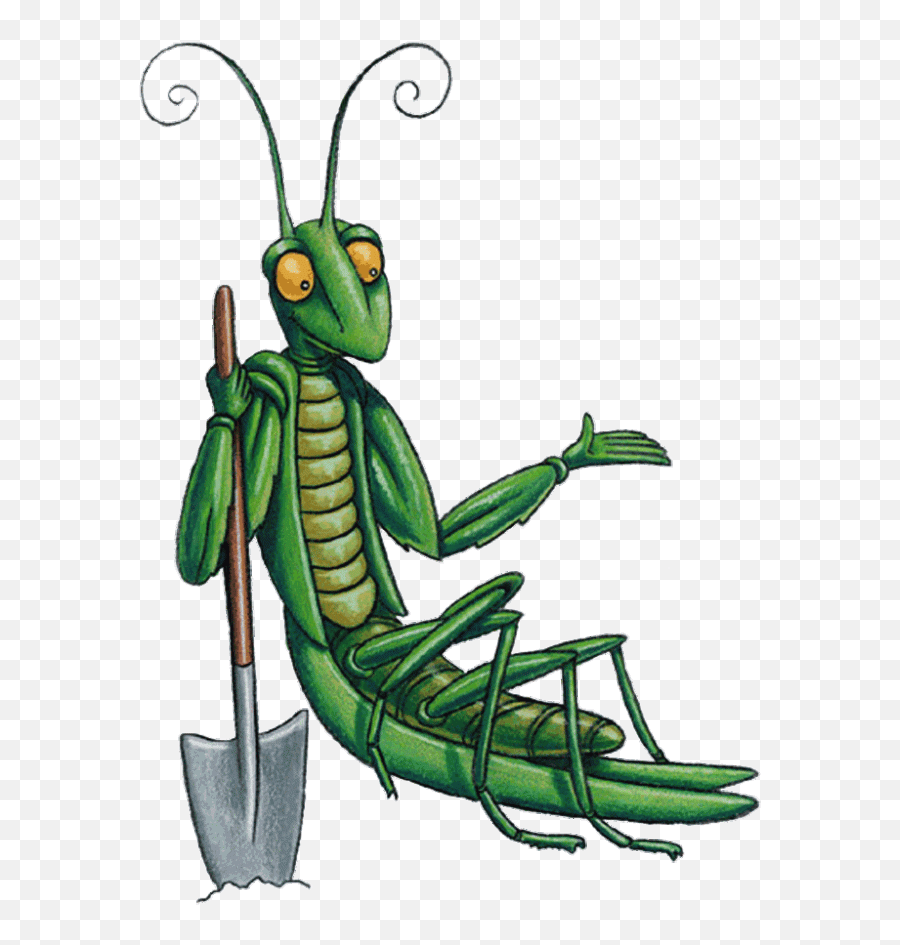 Grasshopper Clipart Clear Grasshopper Clear Transparent - Junior Master Gardener Logos Emoji,Crickets Emoji